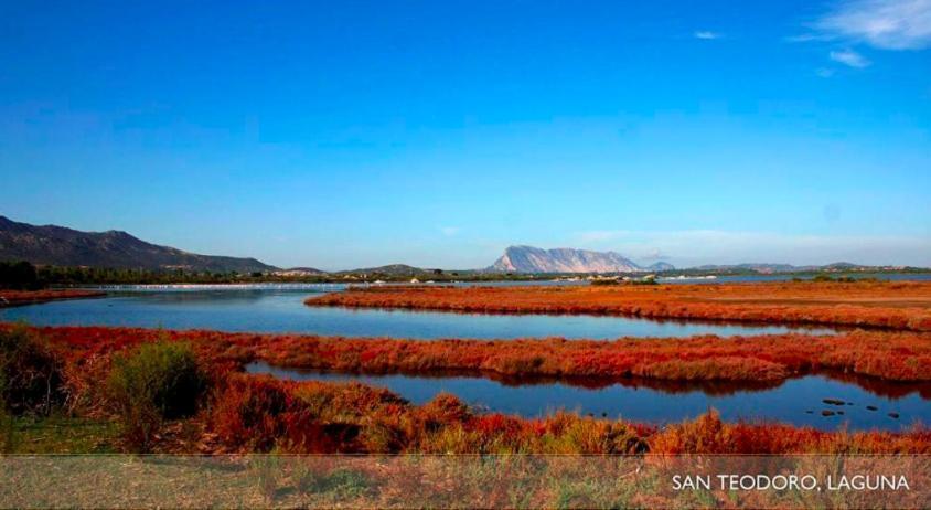 Ginepro House - San Teodoro Villa San Teodoro  Dış mekan fotoğraf