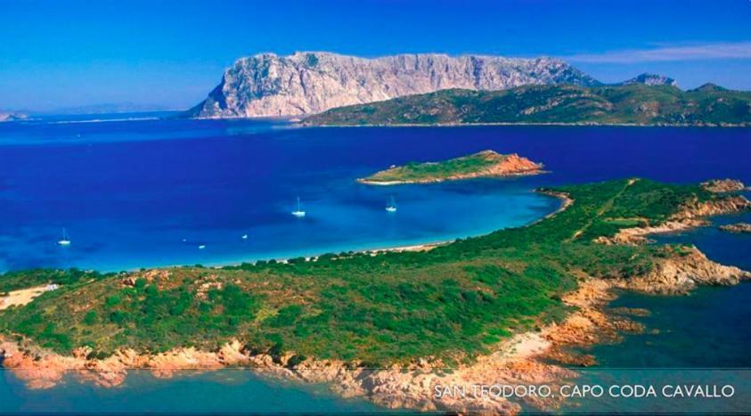 Ginepro House - San Teodoro Villa San Teodoro  Dış mekan fotoğraf